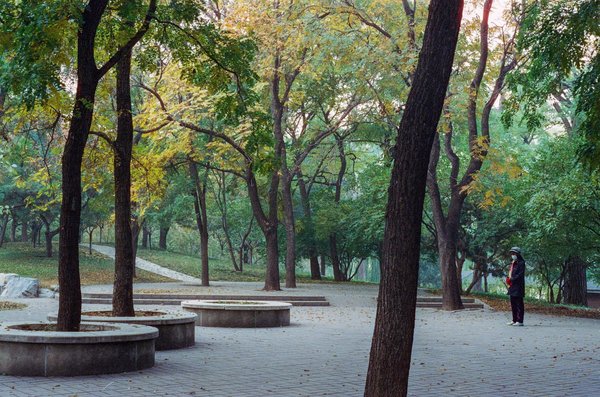 How Can We Improve Preventative Measures Against Heart Disease in the UK?